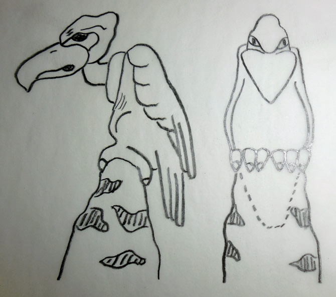 buzzard pattern outline